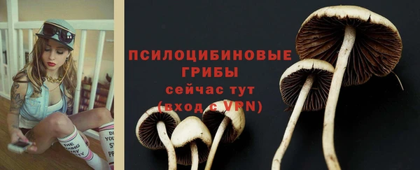 прущие крисы Инсар