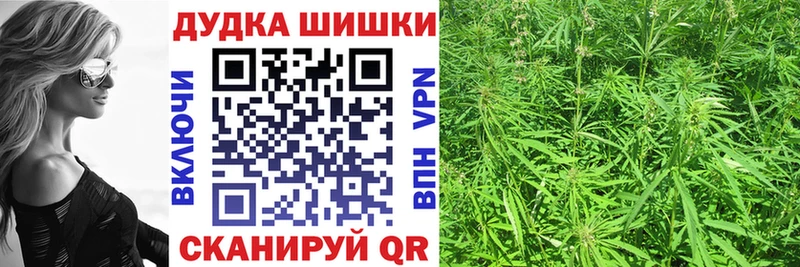 Канабис планчик Пятигорск